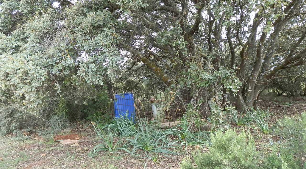 524_fincas-en-venta-004