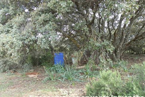 524_fincas-en-venta-004