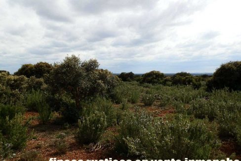524_fincas-en-venta-007