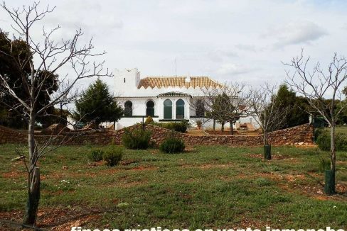 524_fincas-en-venta-011