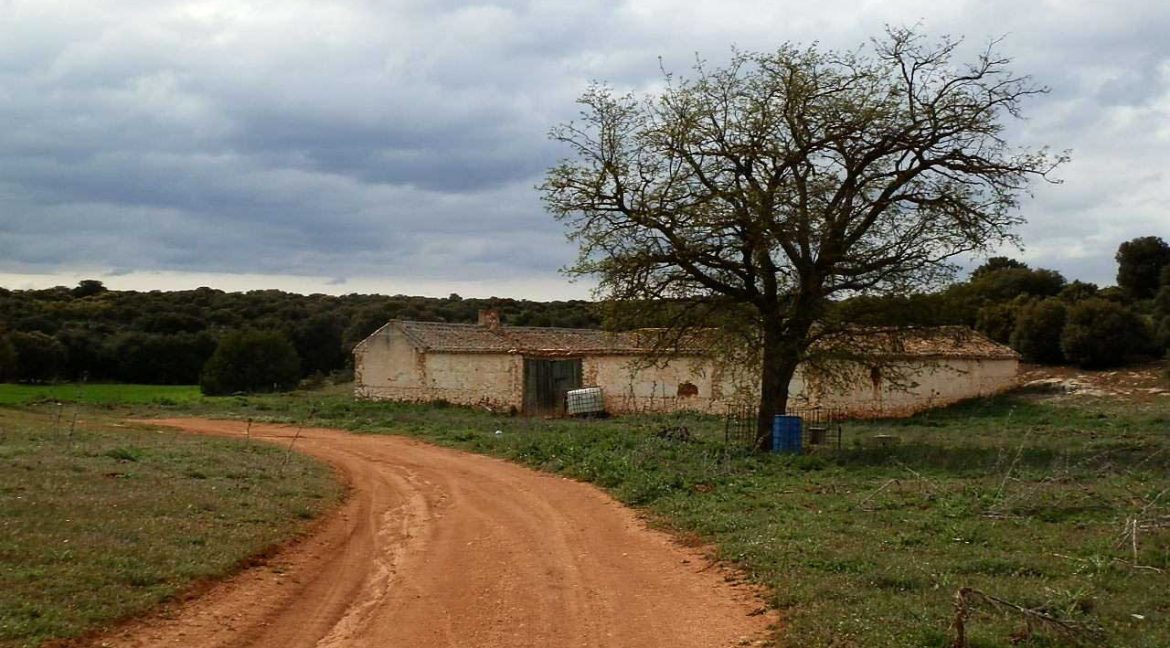 524_fincas-en-venta-021