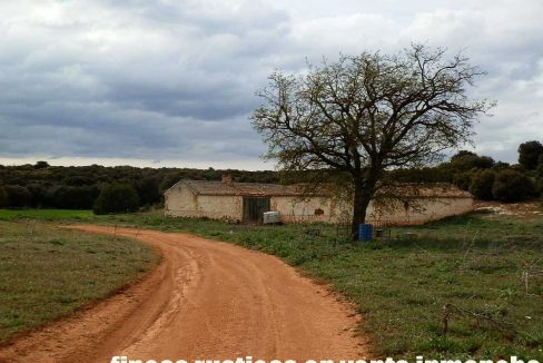 524_fincas-en-venta-021