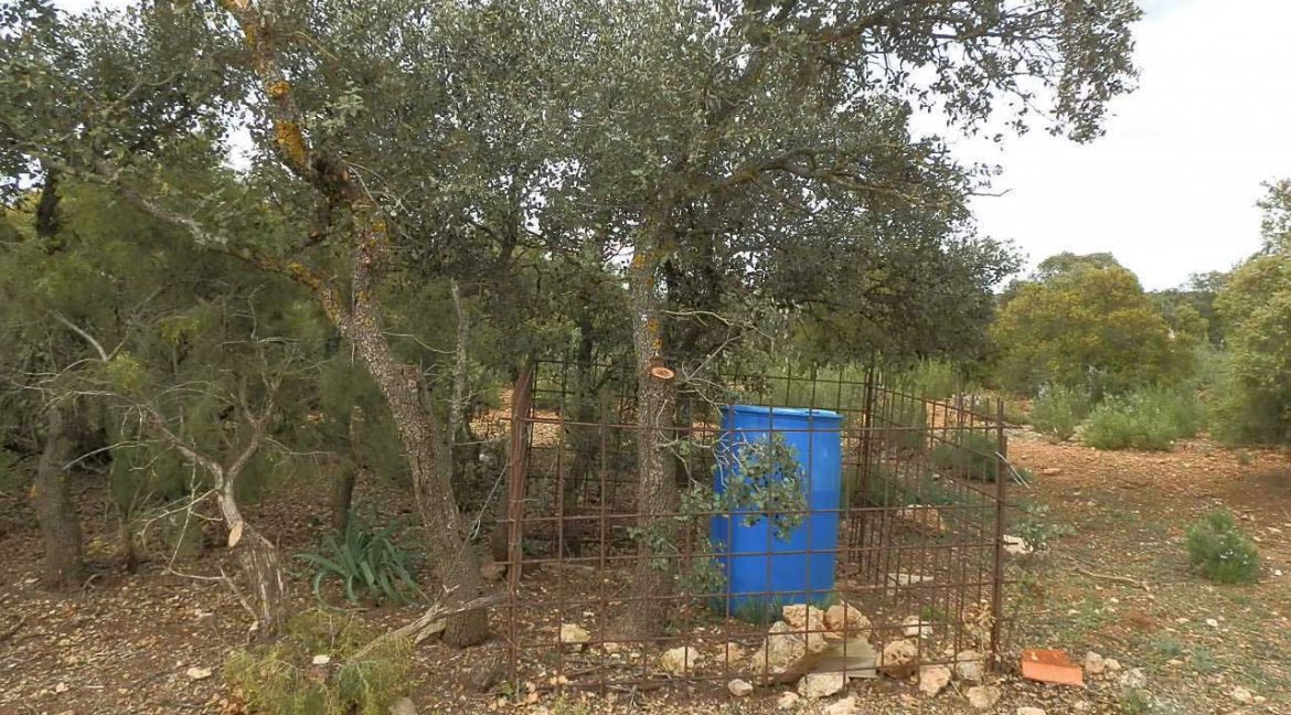 524_fincas-en-venta-025