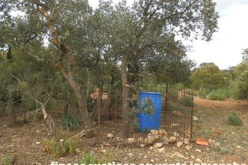 524_fincas-en-venta-025