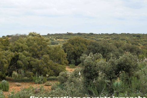 524_fincas-en-venta-027