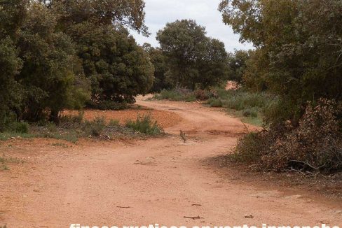 524_fincas-en-venta-032