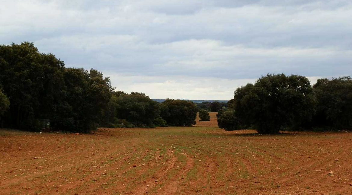 524_fincas-en-venta-034