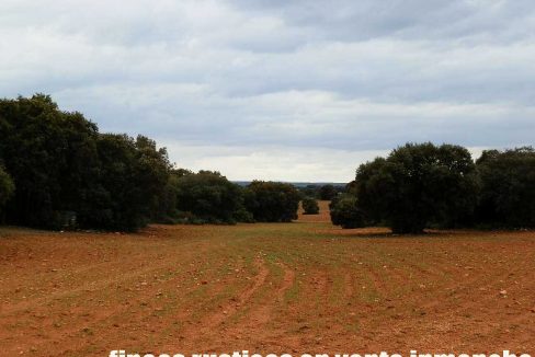 524_fincas-en-venta-034