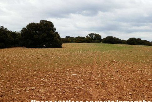 524_fincas-en-venta-036