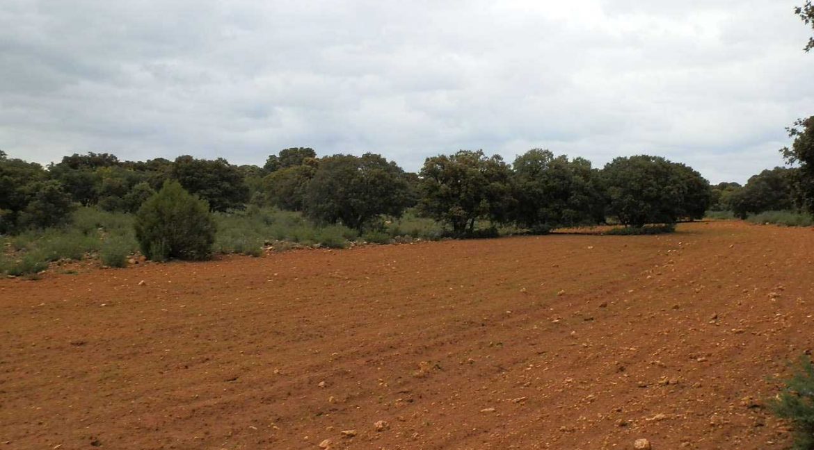 524_fincas-en-venta-038