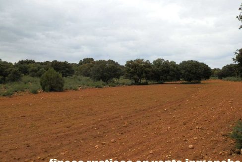 524_fincas-en-venta-038