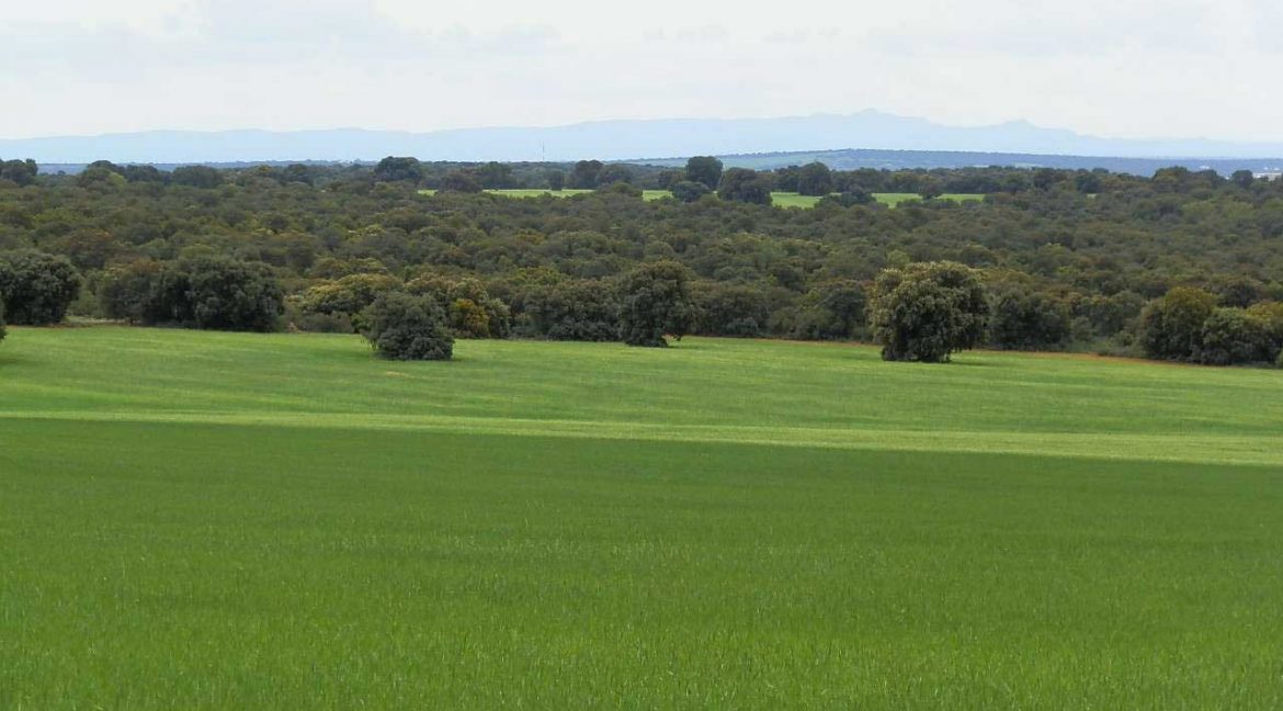 524_fincas-en-venta-048