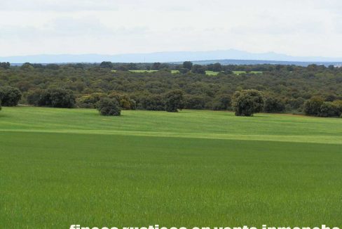524_fincas-en-venta-048