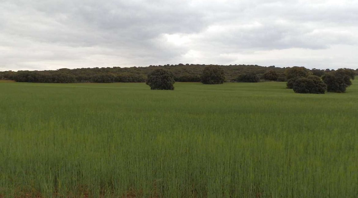 524_fincas-en-venta-052