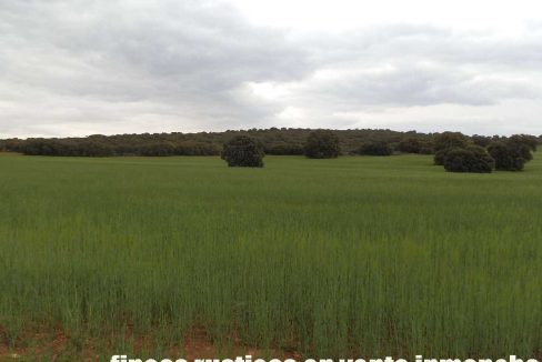 524_fincas-en-venta-052