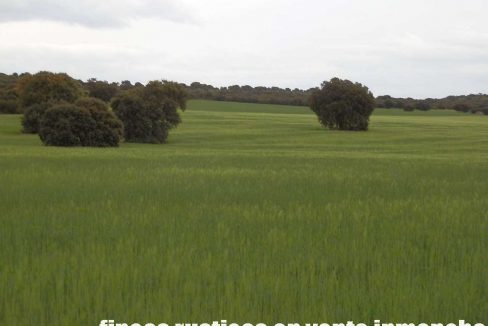 524_fincas-en-venta-053