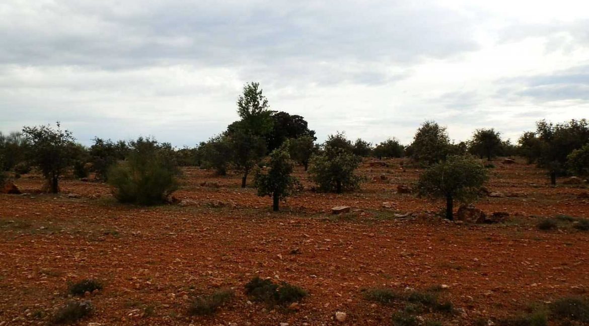 524_fincas-en-venta-058