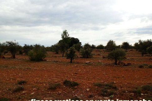 524_fincas-en-venta-058