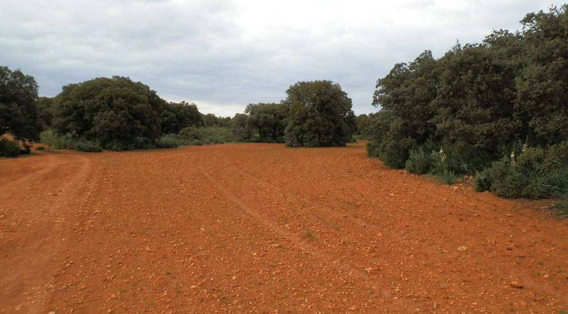 524_fincas-en-venta-059