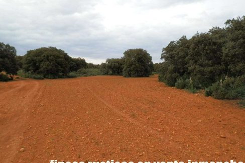 524_fincas-en-venta-059