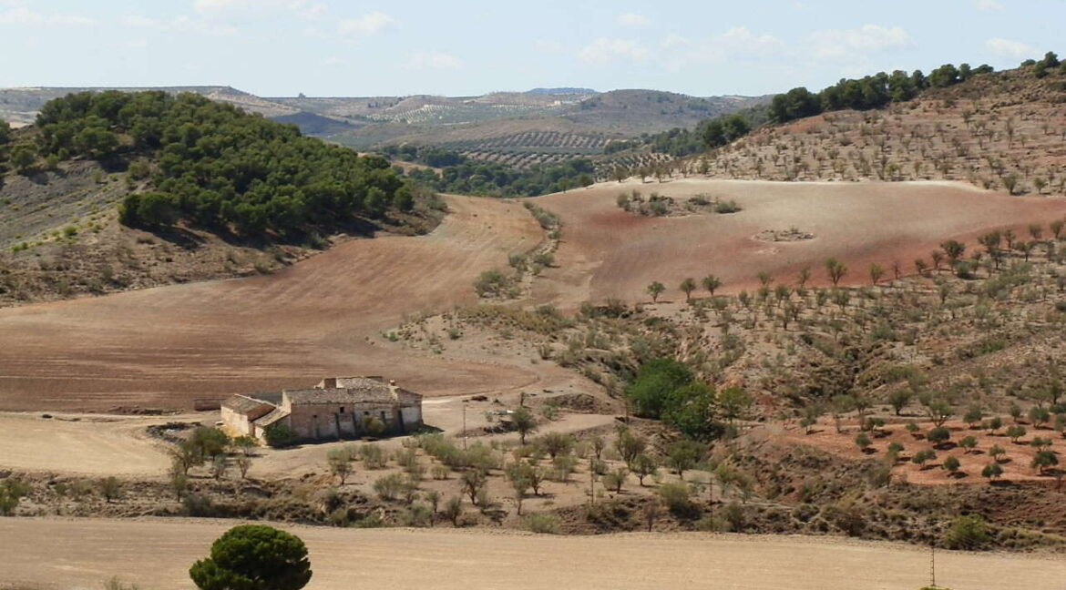 538_fincas-en-venta-001