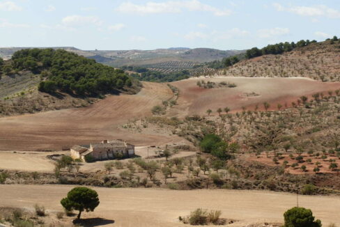 538_fincas-en-venta-001