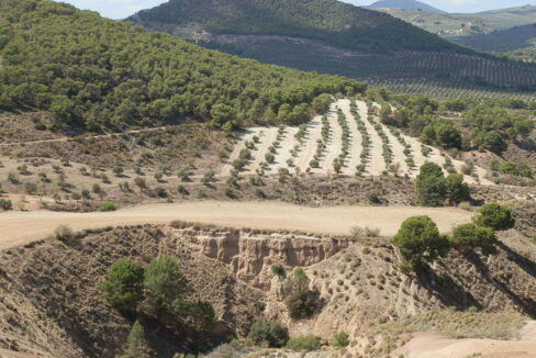 538_fincas-en-venta-003