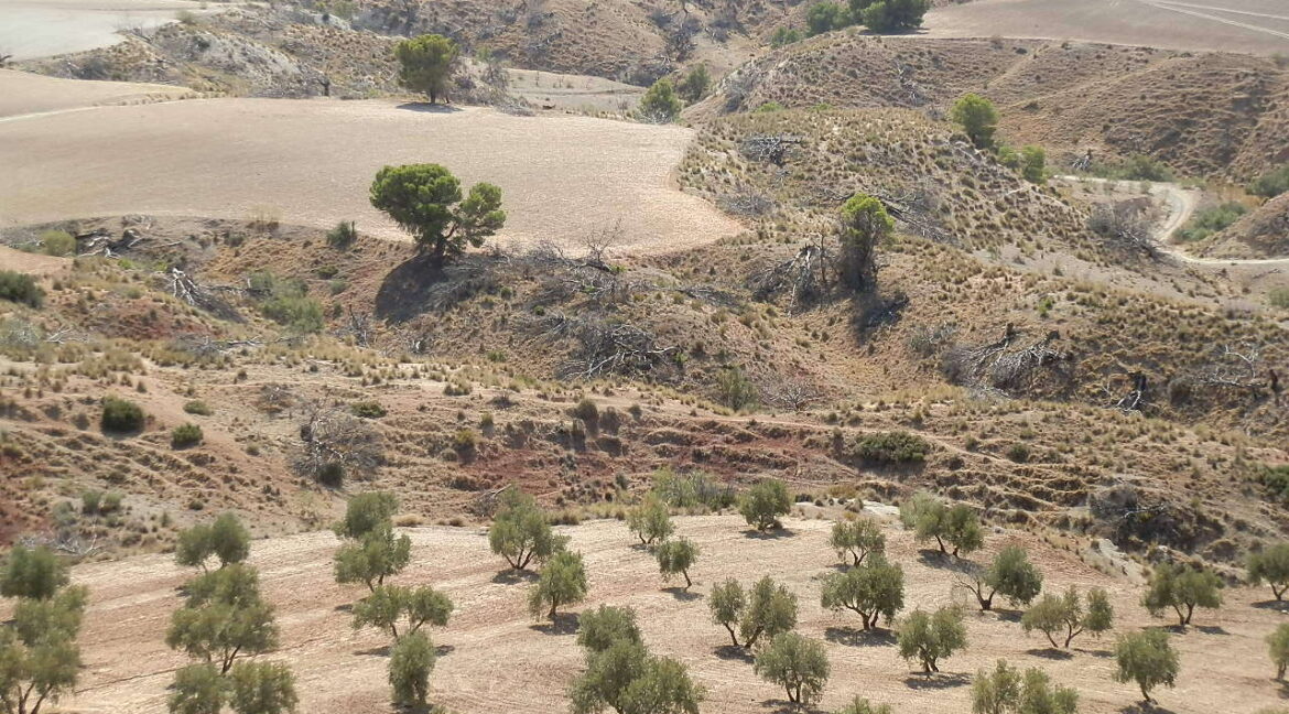 538_fincas-en-venta-005
