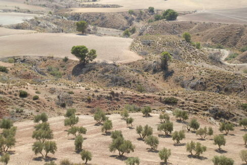538_fincas-en-venta-005