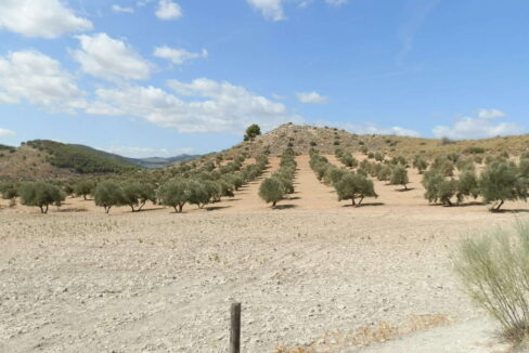 538_fincas-en-venta-008