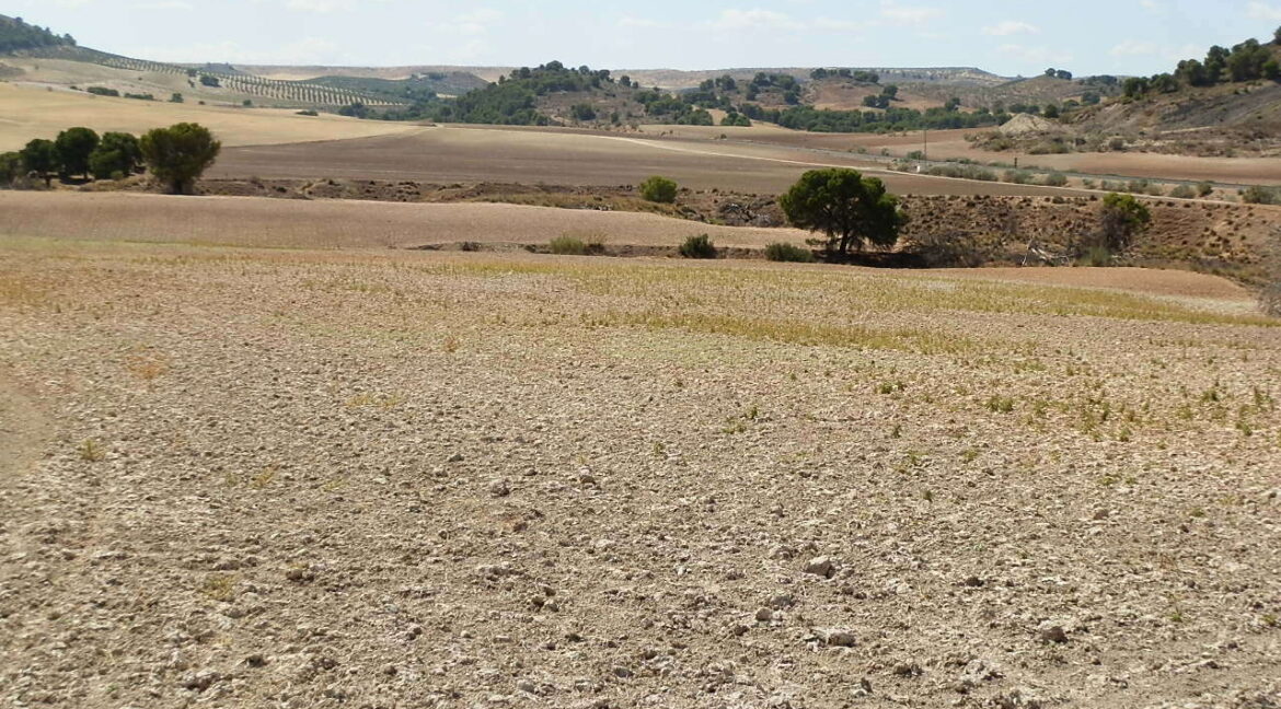 538_fincas-en-venta-010