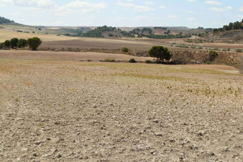 538_fincas-en-venta-010