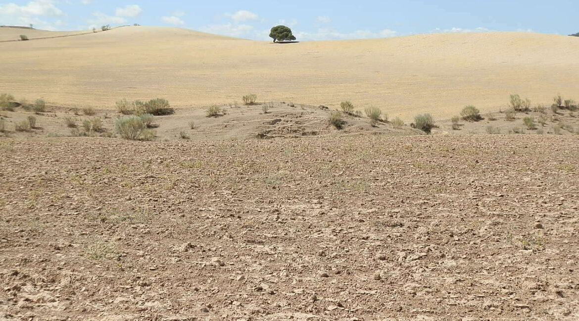 538_fincas-en-venta-012