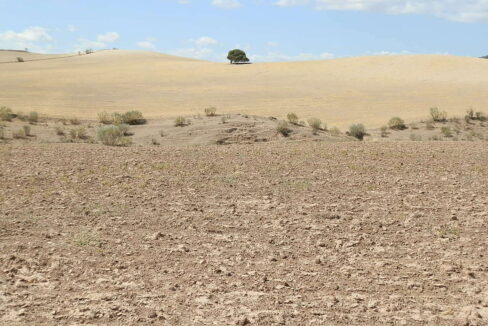 538_fincas-en-venta-012