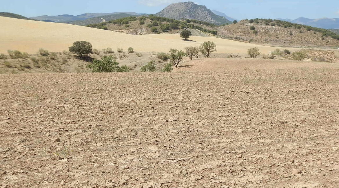 538_fincas-en-venta-013