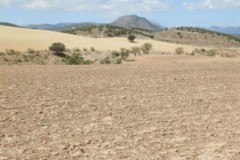 538_fincas-en-venta-013