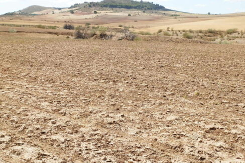 538_fincas-en-venta-014