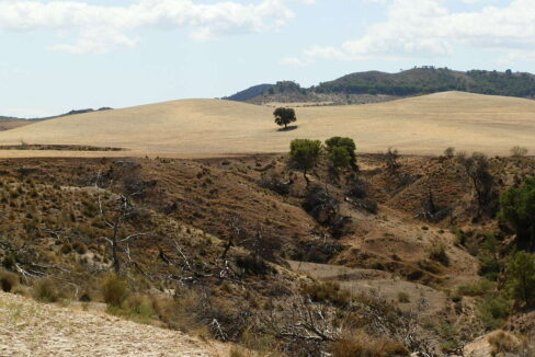 538_fincas-en-venta-021