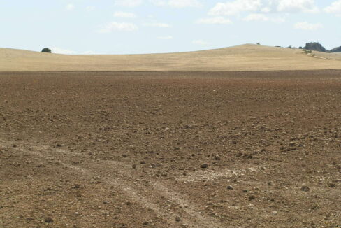 538_fincas-en-venta-023