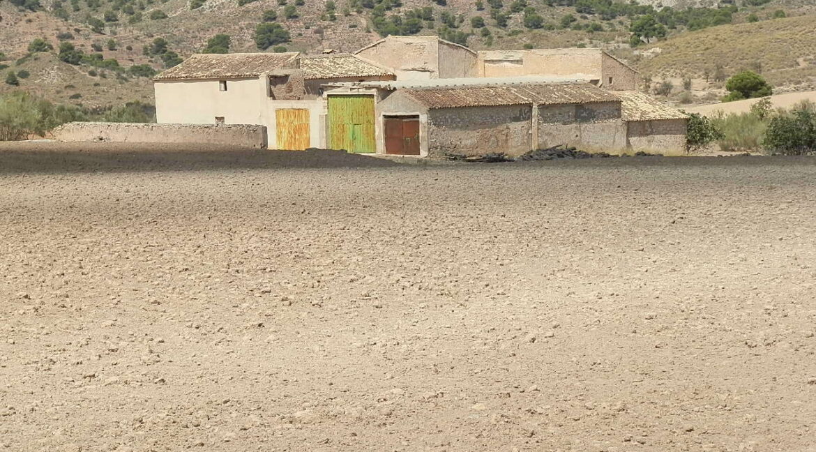 538_fincas-en-venta-034
