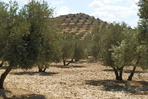 538_fincas-en-venta-039