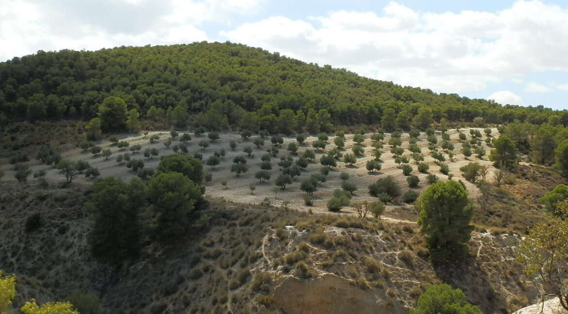 538_fincas-en-venta-047