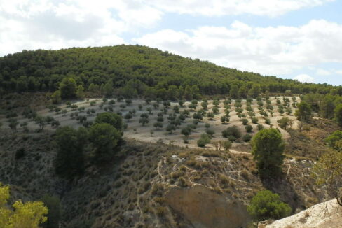 538_fincas-en-venta-047