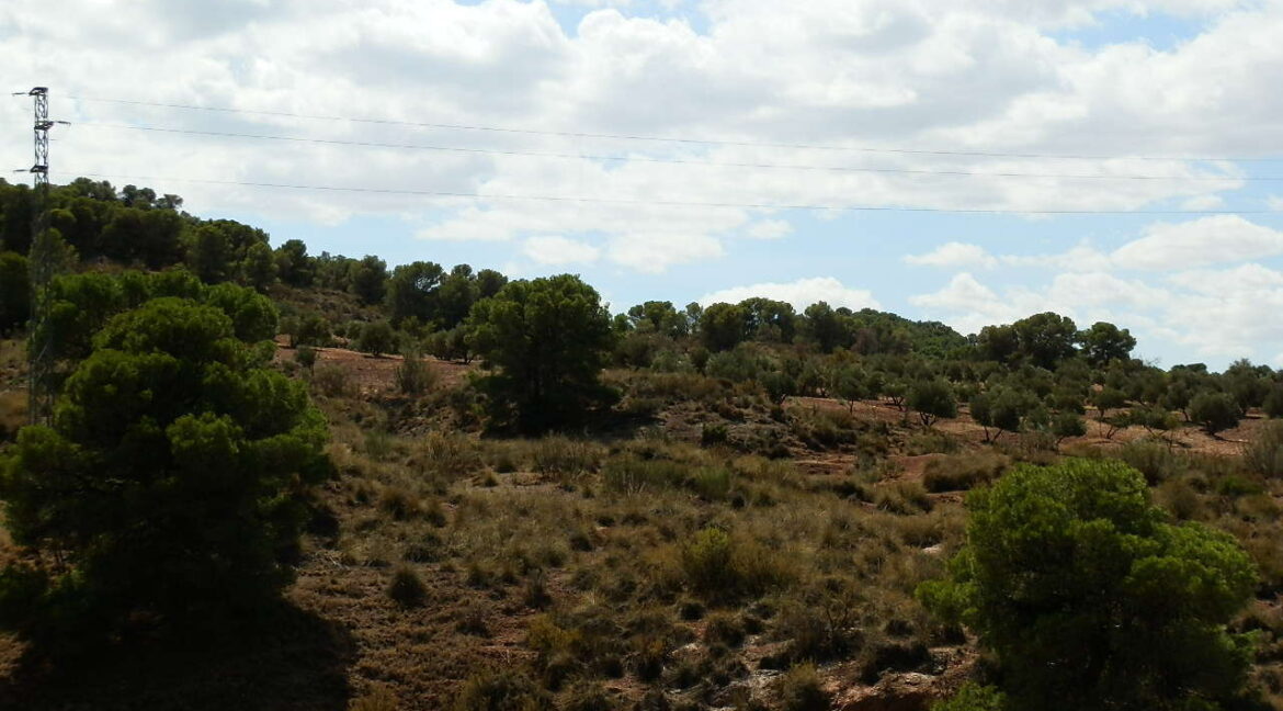 538_fincas-en-venta-054