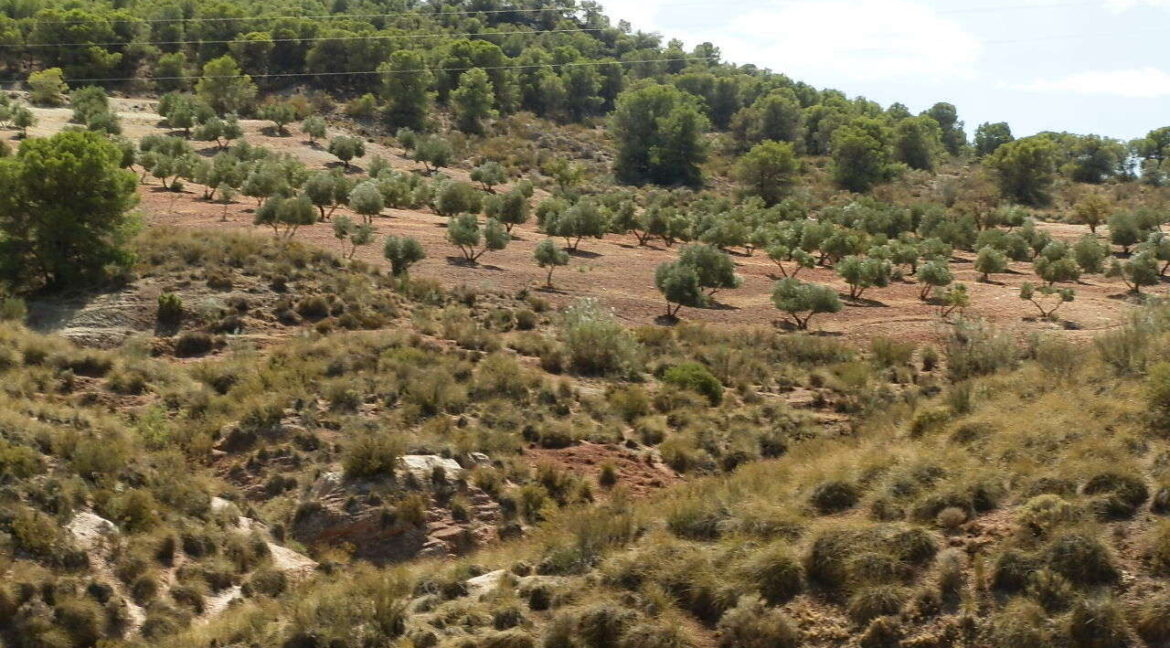538_fincas-en-venta-056