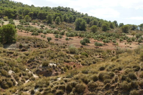 538_fincas-en-venta-056
