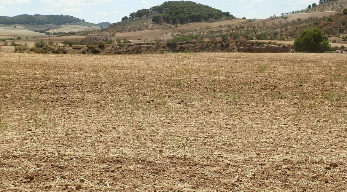 538_fincas-en-venta-060