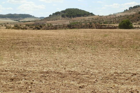 538_fincas-en-venta-060