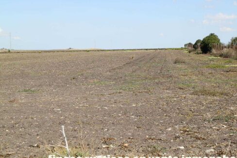 539_fincas-en-venta-001