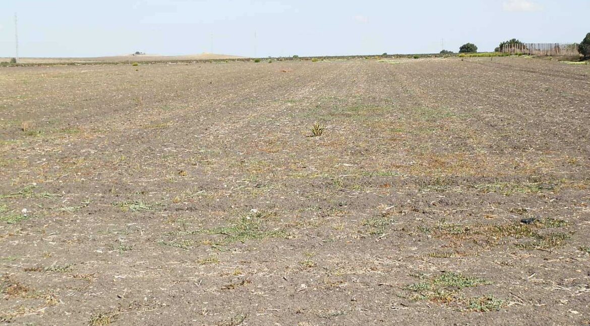 539_fincas-en-venta-002